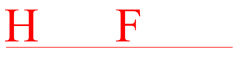 Hans Finest Digital Solutions Logo